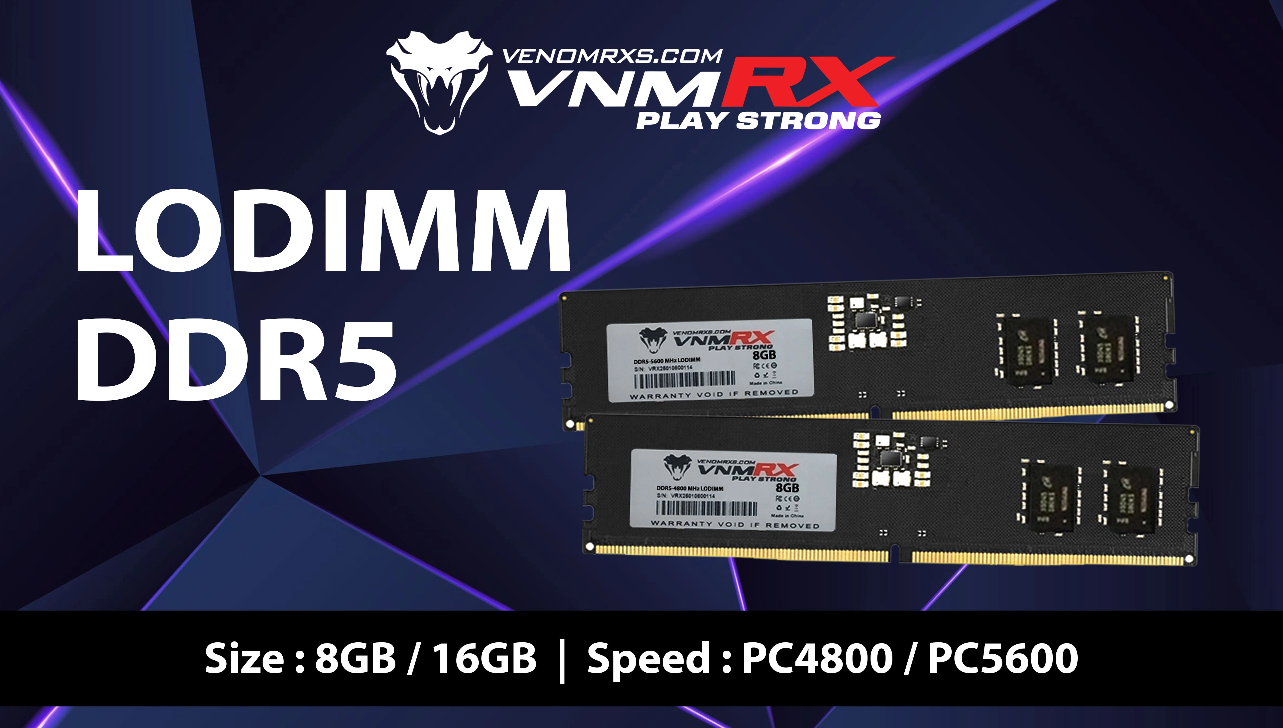 LODIMM DDR5 4800 8GB