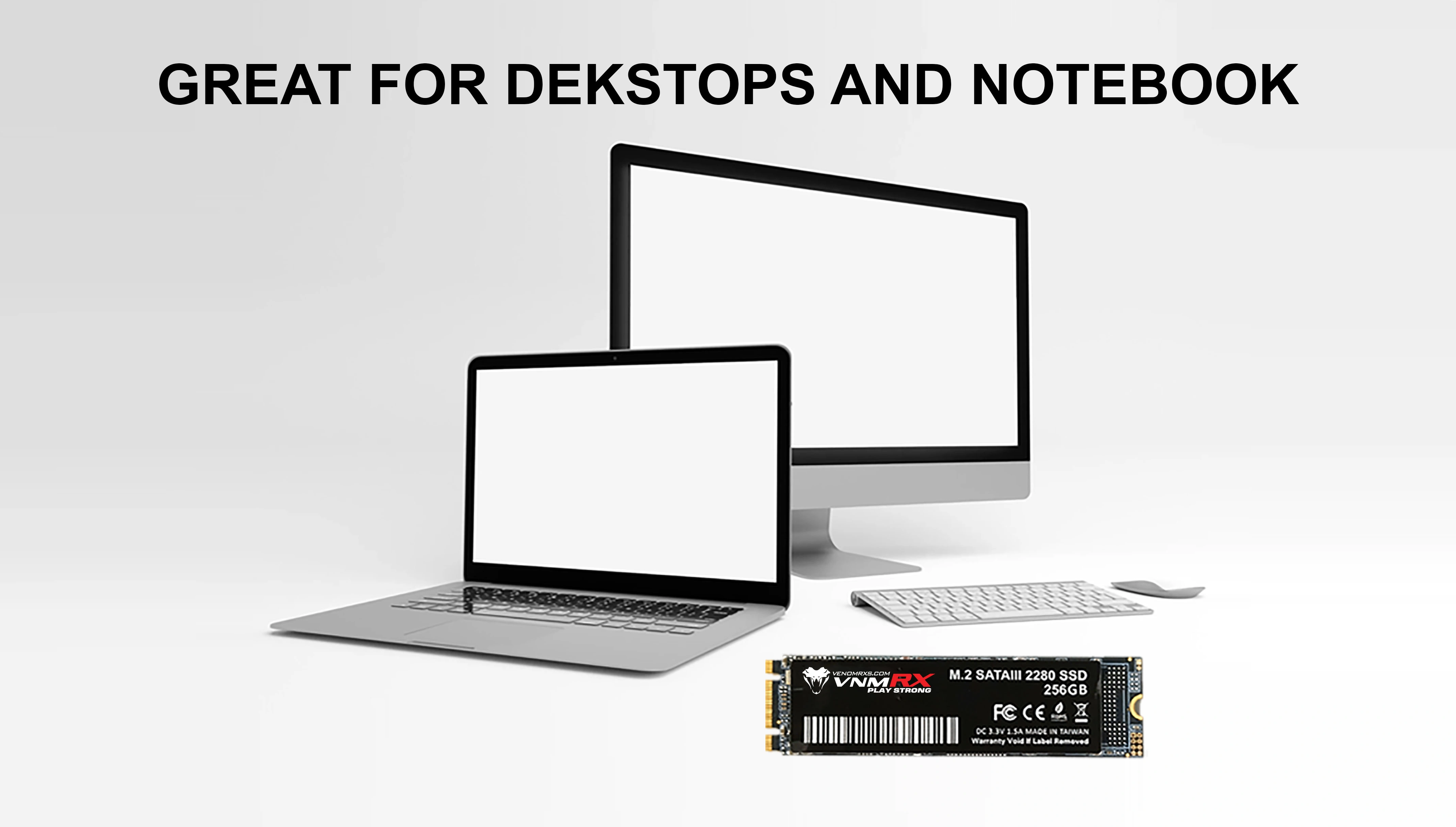 M.2 SATA SSD 256GB