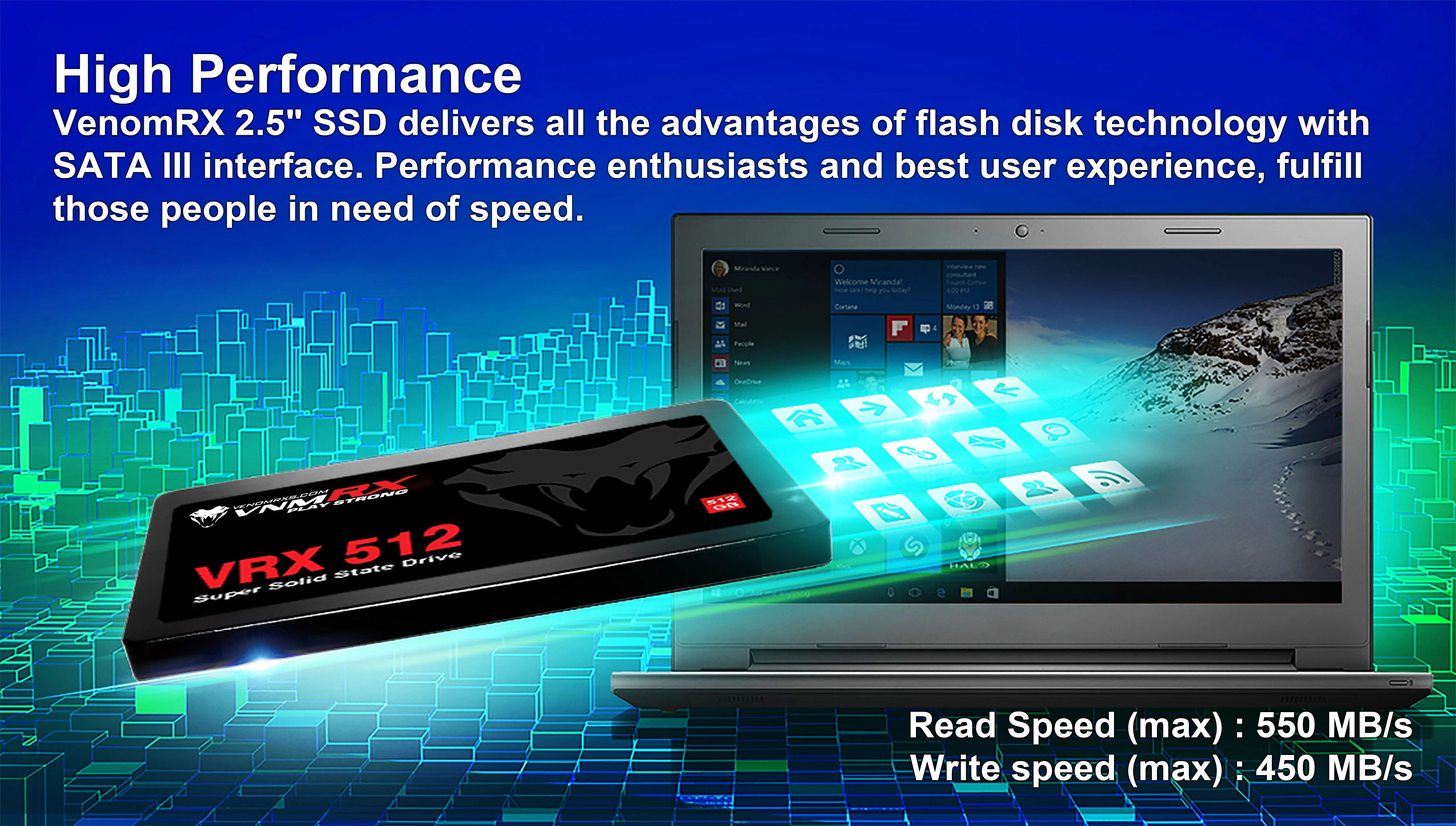 SATA 2,5" SSD 256GB