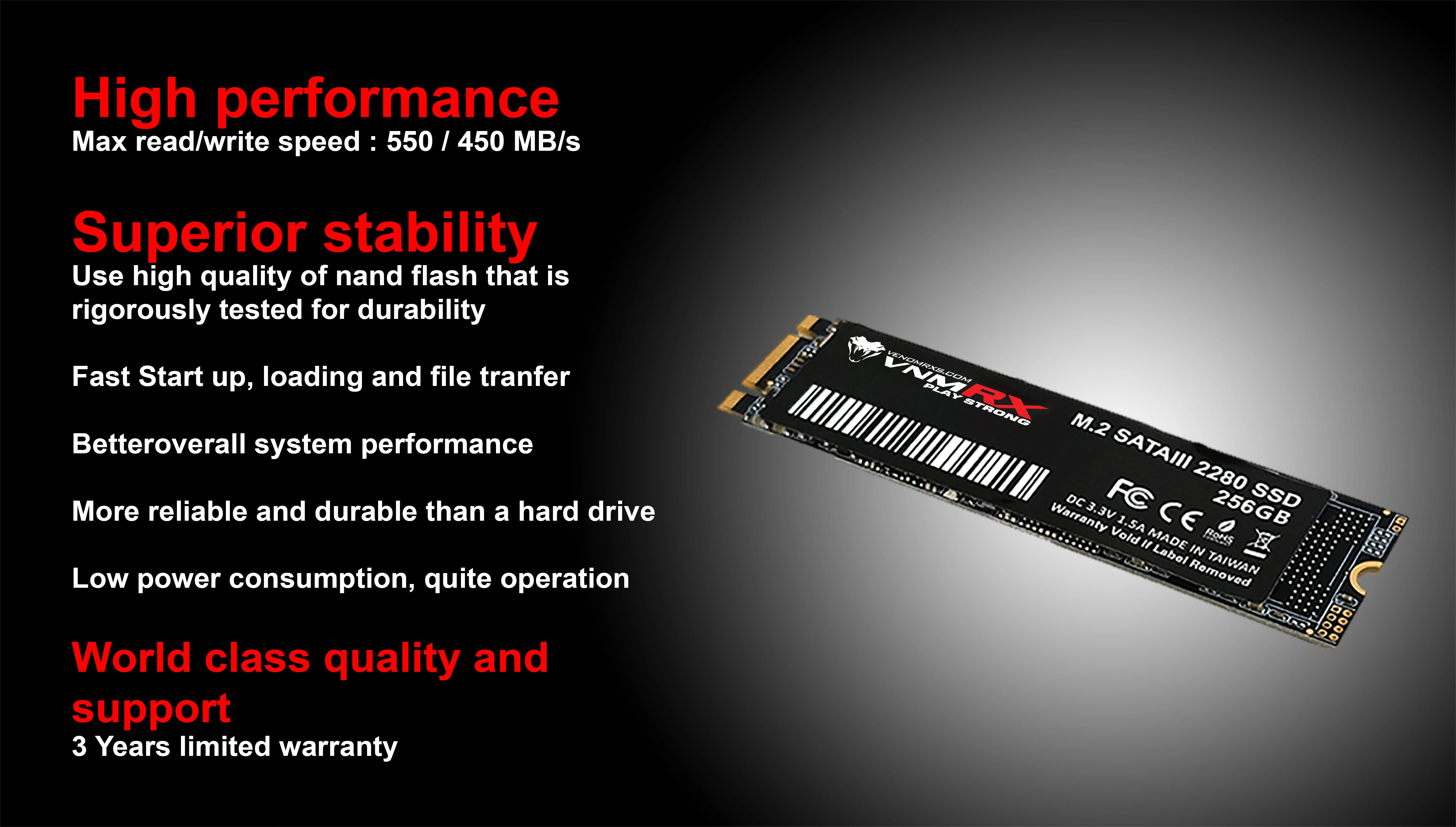 M.2 SATA SSD 256GB