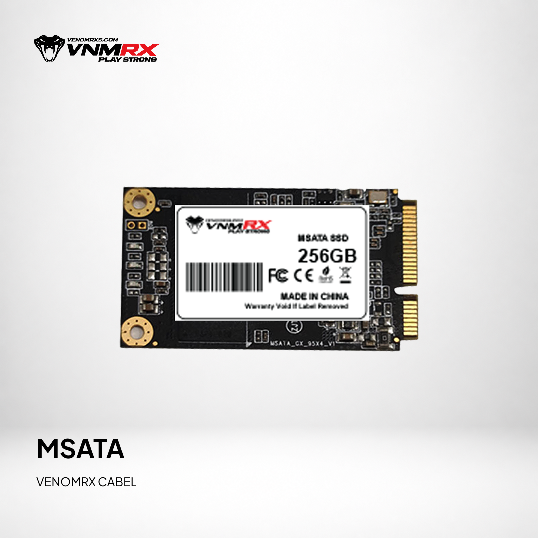 MSATA SSD 256GB