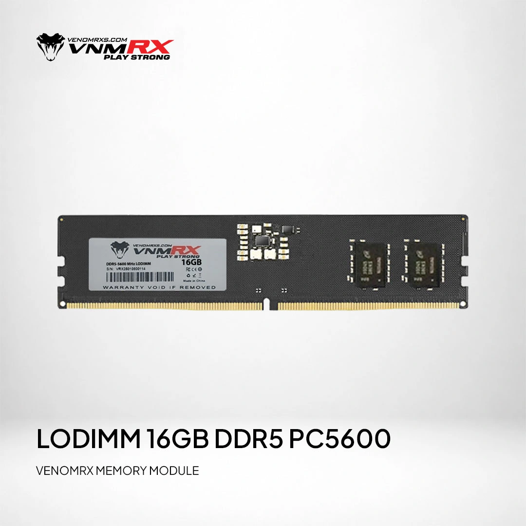 LODIMM DDR5 5600 16GB