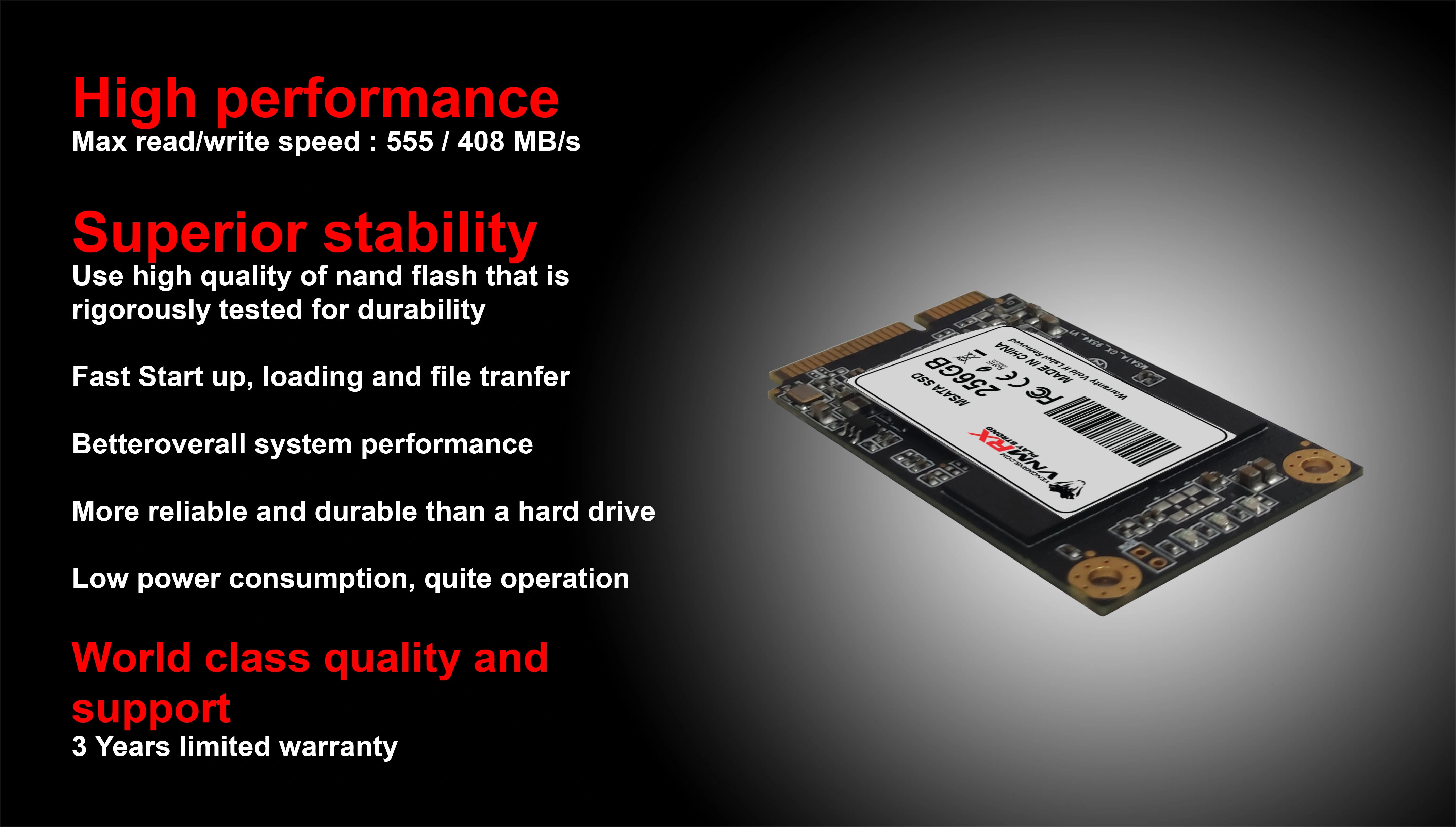 MSATA SSD 256GB