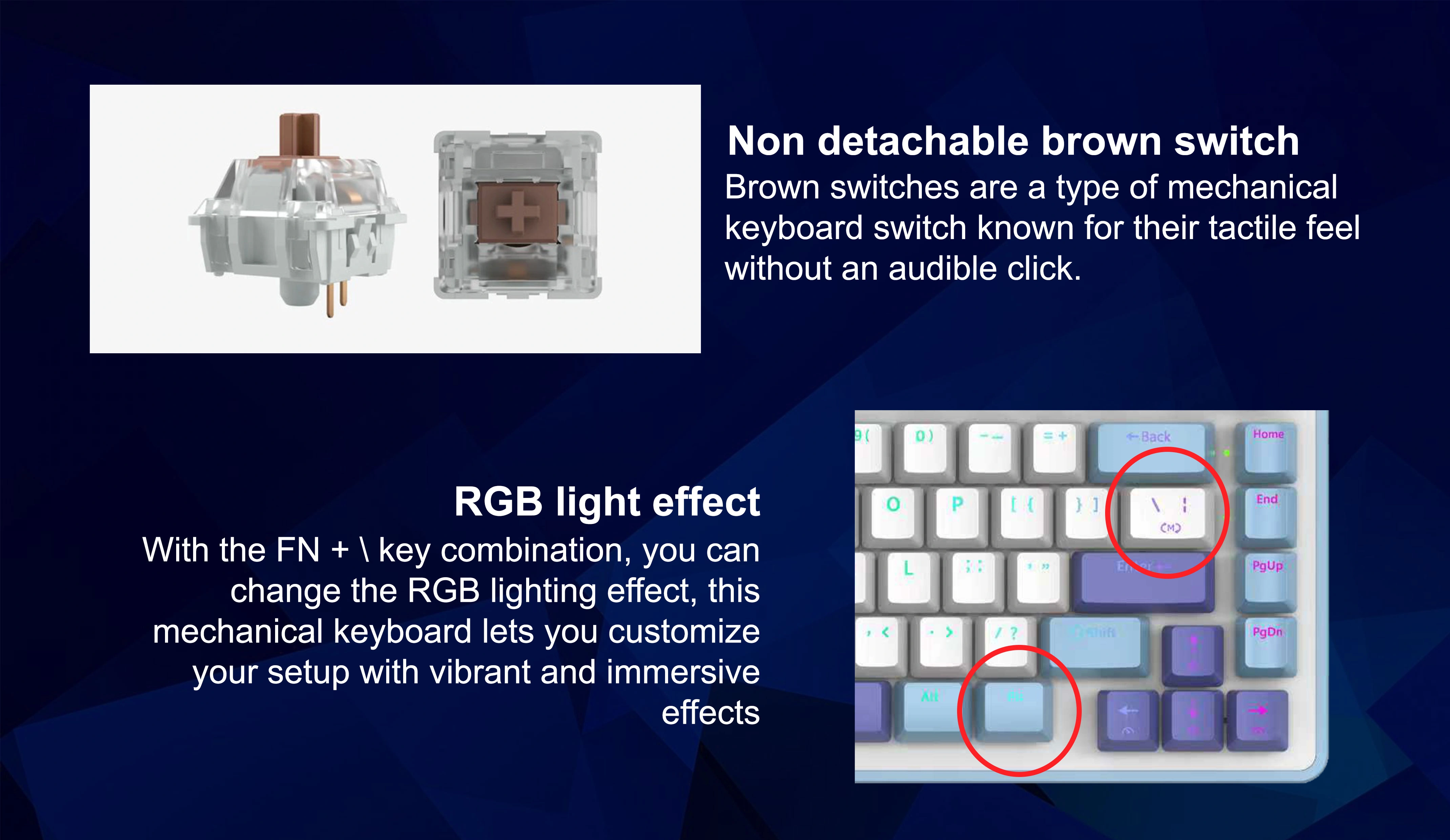 BIONIC 75% WIRED MECHANICAL KEYBOARD BLUE/WHITE