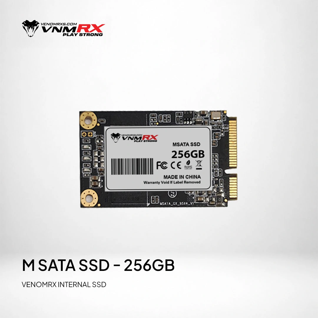 MSATA SSD 256GB